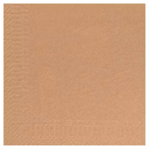 100 Serviettes Ouate 39x39 2 Plis KRAFT