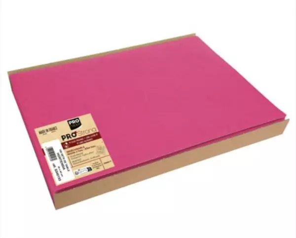 100 SETS DE TABLE HORTENSIA 30X40 