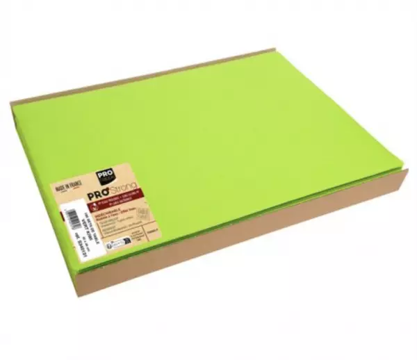100 SETS DE TABLE KIWI 30X40 