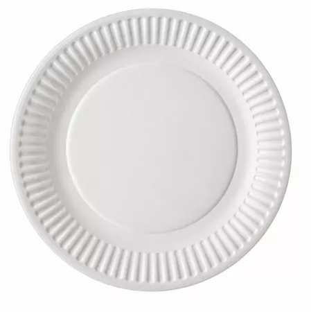 1000 ASSIETTES D23 CARTON BLANC