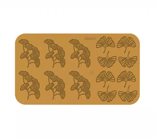 14 FEUILLES DE GINKGO