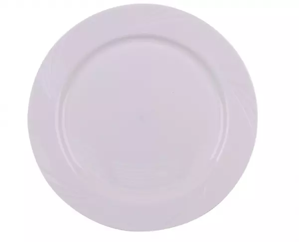 160 ASSIETTES PICNIK 26CM / ISV61260BL