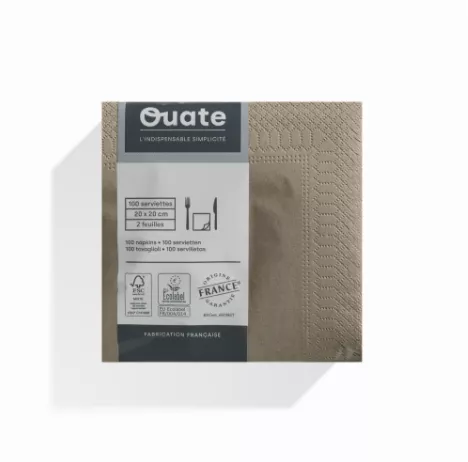 1800 Serviettes 2 plis 20x20 ARGILE / CG191490