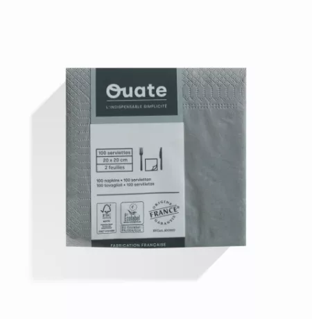 1800 Serviettes 2 plis 20x20 BETON / CG191849