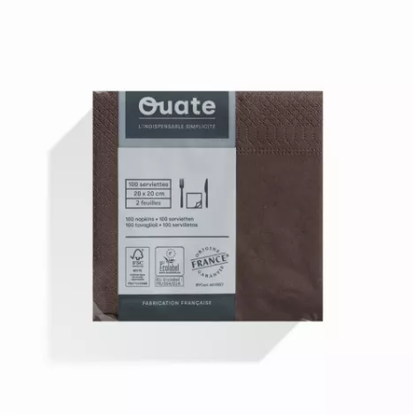 1800 Serviettes 2 plis 20x20 CHOCOLAT / CG193267