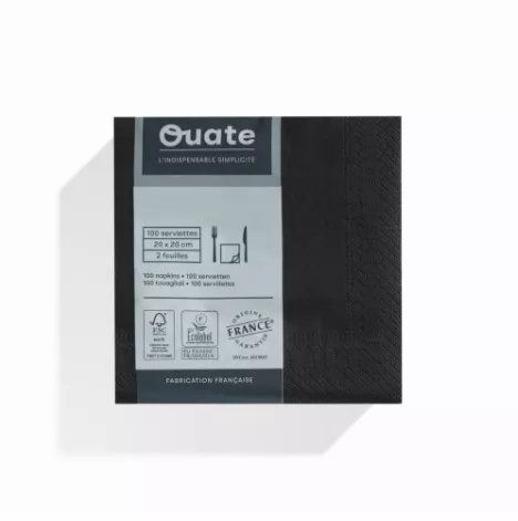 1800 Serviettes 2 plis 20x20 EBENE / CG191990