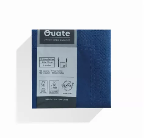 1800 Serviettes 2 plis 20x20 MARINE / CG191507
