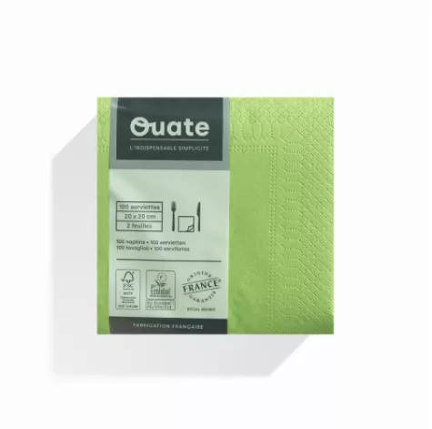 1800 Serviettes 2 plis 20x20 PISTACHE / CG191800