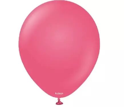 20 BALLONS SATNDARD FUSHIA 
