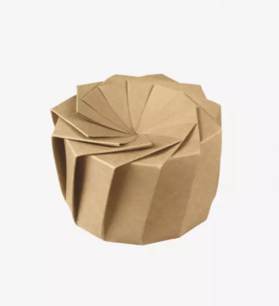 20 BOITES IRIS M EN CARTON / SOEC40020