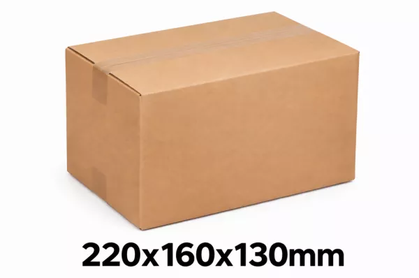 20 CAISSES CARTON SC 220x160x130mm