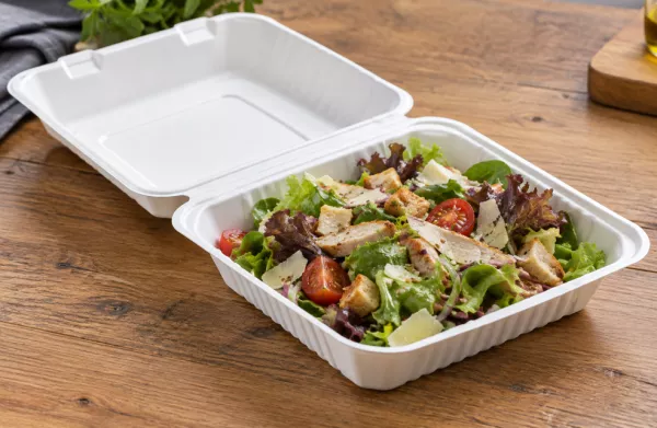 200 LUNCH BOX BAGASSE 1 COMPART 22.9x22.9x4.5cm