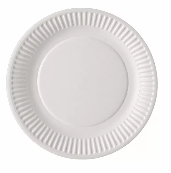 2000 ASSIETTES CARTONS BLANCHE D15