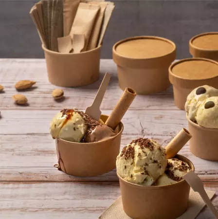 2000 Pots &agrave; Glaces 240ml KRAFT