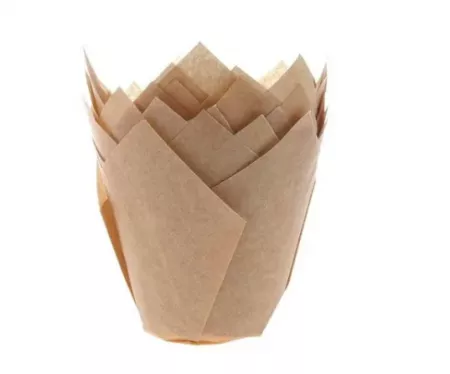 240 CAISSETTES TULIPCUP ECRU 140/50MM