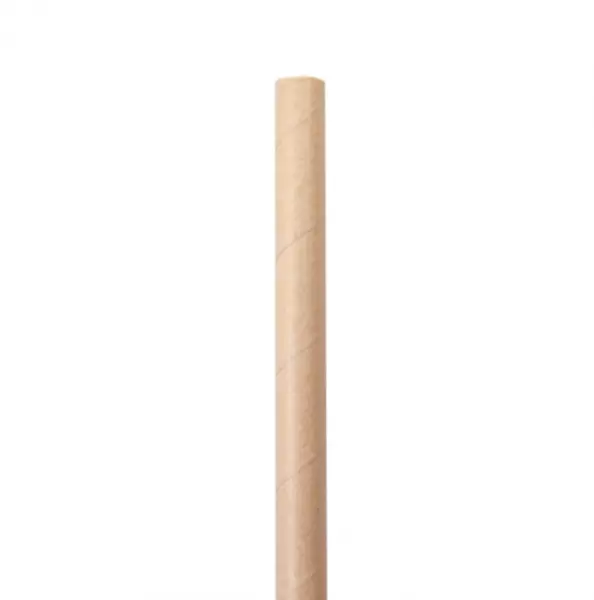 2400 Pailles Droites D1x21cm KRAFT