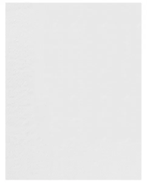2400 Serviettes Ouate 2 plis 30x39 BLANC