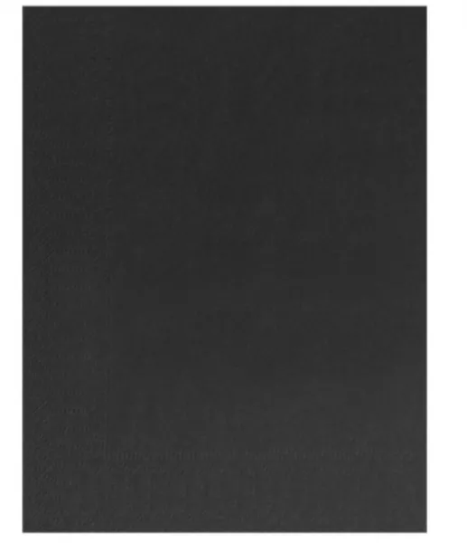 2400 Serviettes Ouate 2 plis 30x39 EBENE