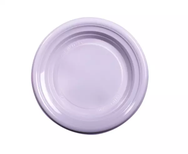 25 Assiettes D22 PP Plates R�utilisable 20gr BLANC