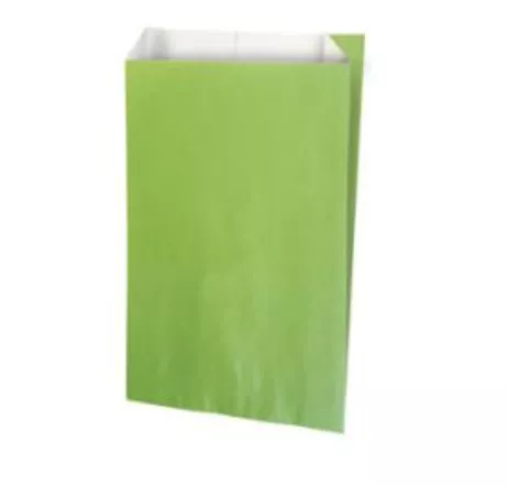 250 Sacs Cadeaux Kraft Blanc 12+4.5x20 ANIS