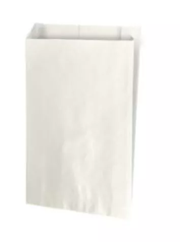 250 sacs cadeaux kraft blanc 18+6X35CM