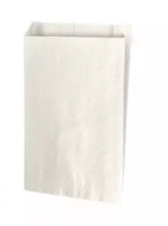 250 sacs cadeaux kraft blanc 18+6X35CM