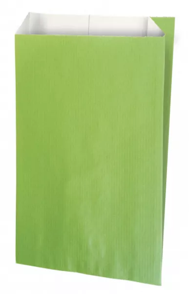 250 Sacs Cadeaux Kraft Blanc 7x12 ANIS