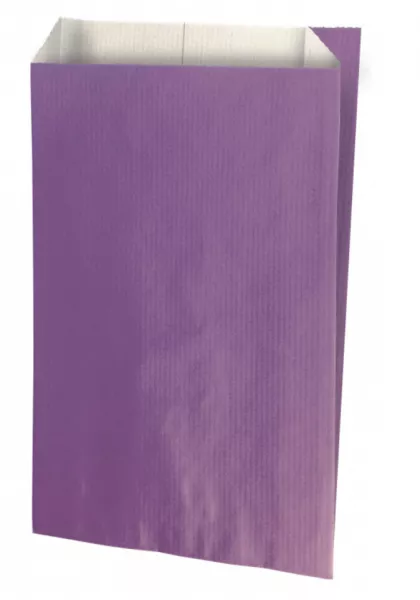250 Sacs Cadeaux Kraft Blanc 7X12 VIOLET