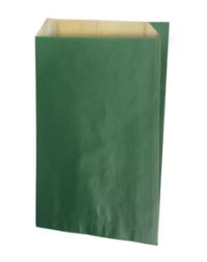 250 Sacs Cadeaux Kraft brun 16+8x27 vert sapin