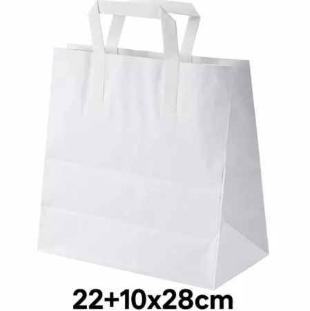 250 SACS KRAFT BLANC PP PLATES 22+10x28