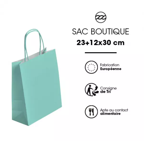 250 Sacs Kraft Tendance 23+12x30 VERT D\'EAU / 21274