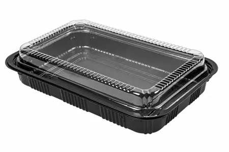 300 BARQUETTES + COUV PS 22x15x5 NOIR