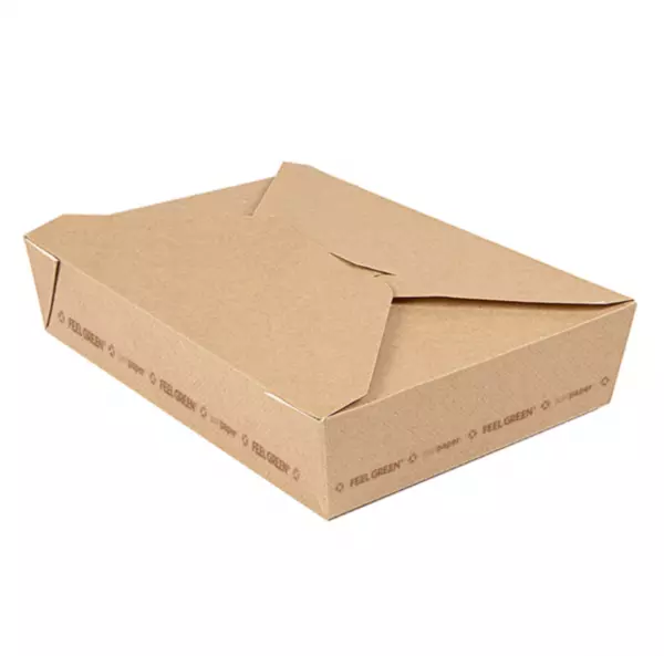 300 BO�TES AM�RICAINES MICRO-ONDABLES \'THEPACK\' 1470 ML 220 G/M2 19,6x14x4,5 CM NATUREL CARTON ONDUL� NANO-MICRO