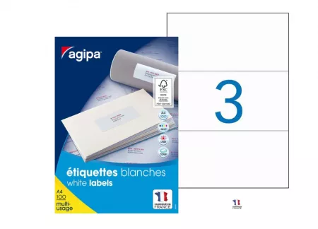 300 &Eacute;TIQUETTES MULTIUSAGE 210X99