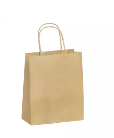 300 Sacs Kraft PF 18+8x22 BRUN / 21059