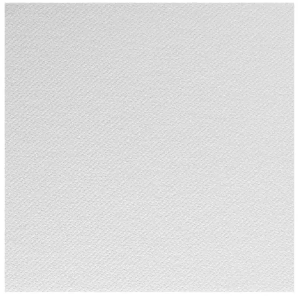 3200 Serviettes 30x30 2 Plis BLANC Nature