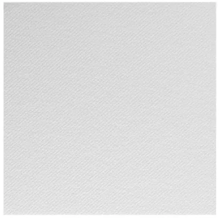 3200 Serviettes 30x30 2 Plis BLANC Nature