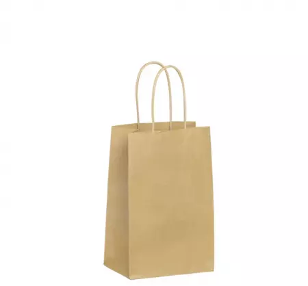 400 Sacs cabas kraft BRUN PF 14+8x21 / 21058