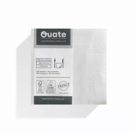 4000 Serviettes 2 plis 20x20 BLANC