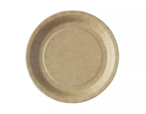 450 Assiettes Carton 230mm KRAFT