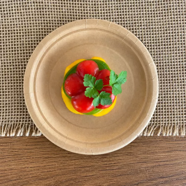 450 ASSIETTES D18 KRAFT