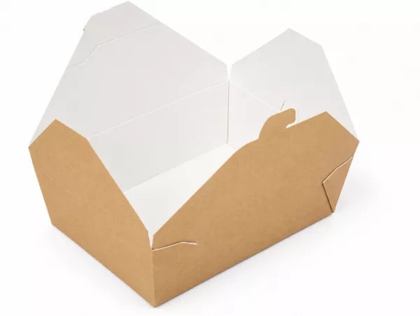 50  BOITES AMERICAINES 220gr 19.6x14x6.2cm BRUN