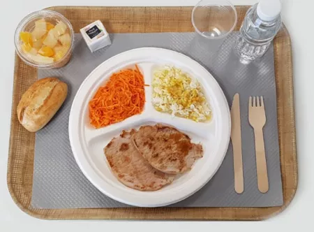 50 ASSIETTES FIBRE VEGETALE D26 3 Compartiments
