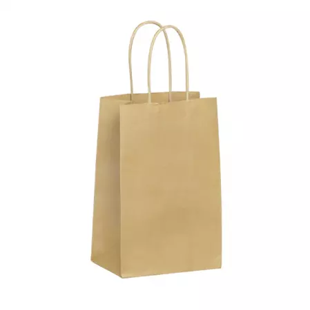 50 Sacs cabas kraft BRUN PF 14+8x21 / 21058