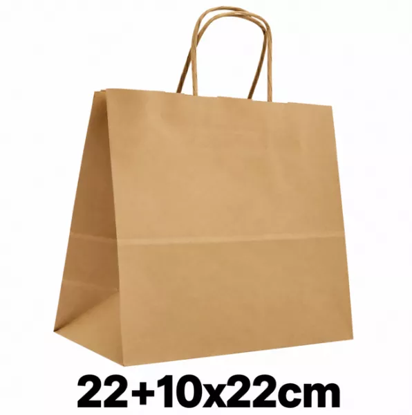50 SACS KRAFT BRUN POIOGNEES TORSADEES 22+10X22CM
