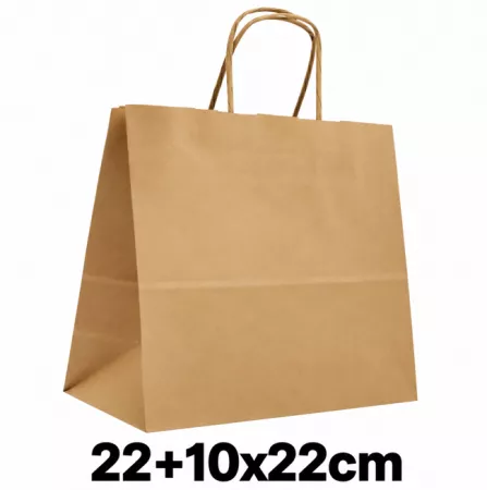 50 SACS KRAFT BRUN POIOGNEES TORSADEES 22+10X22CM