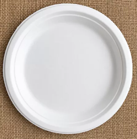 500 ASSIETTES 23CM FIBRE DE CANNE