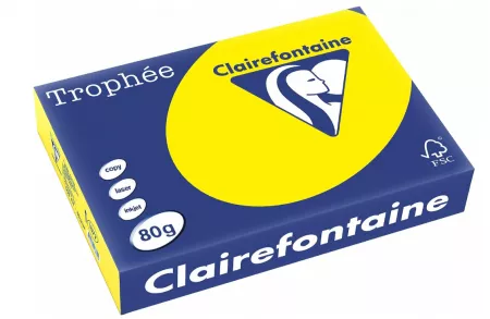 500 FEUILLES A4 JAUNES VIF 80GR