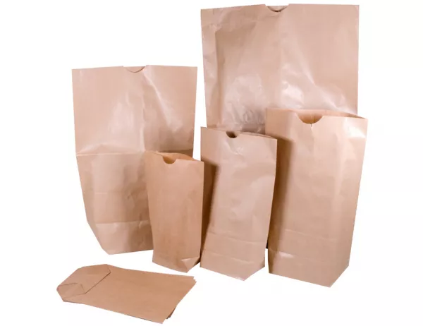 500 Sacs Ecorn�s Kraft 50gr N�9 / 180x285