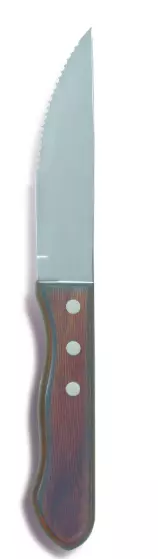 6 COUTEAUX STEACK CHURRASCO